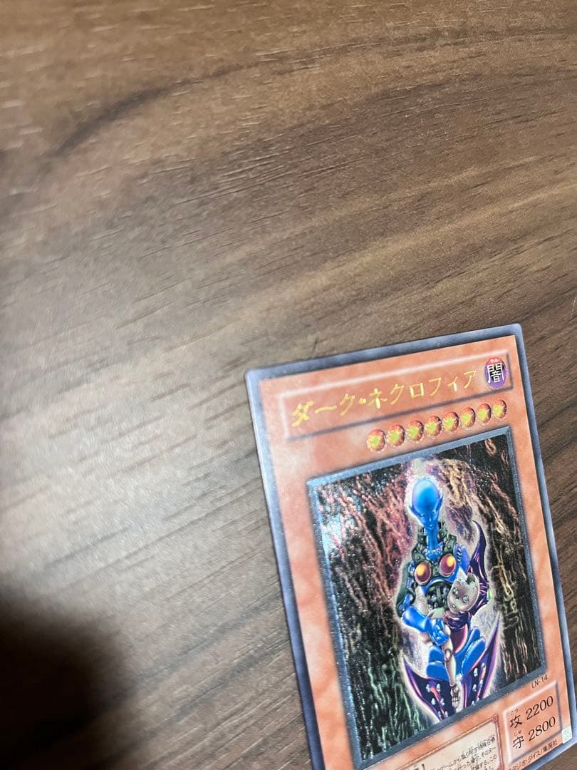 ダーク・ネクロフィア レリーフ　LN-14 遊戯王カード