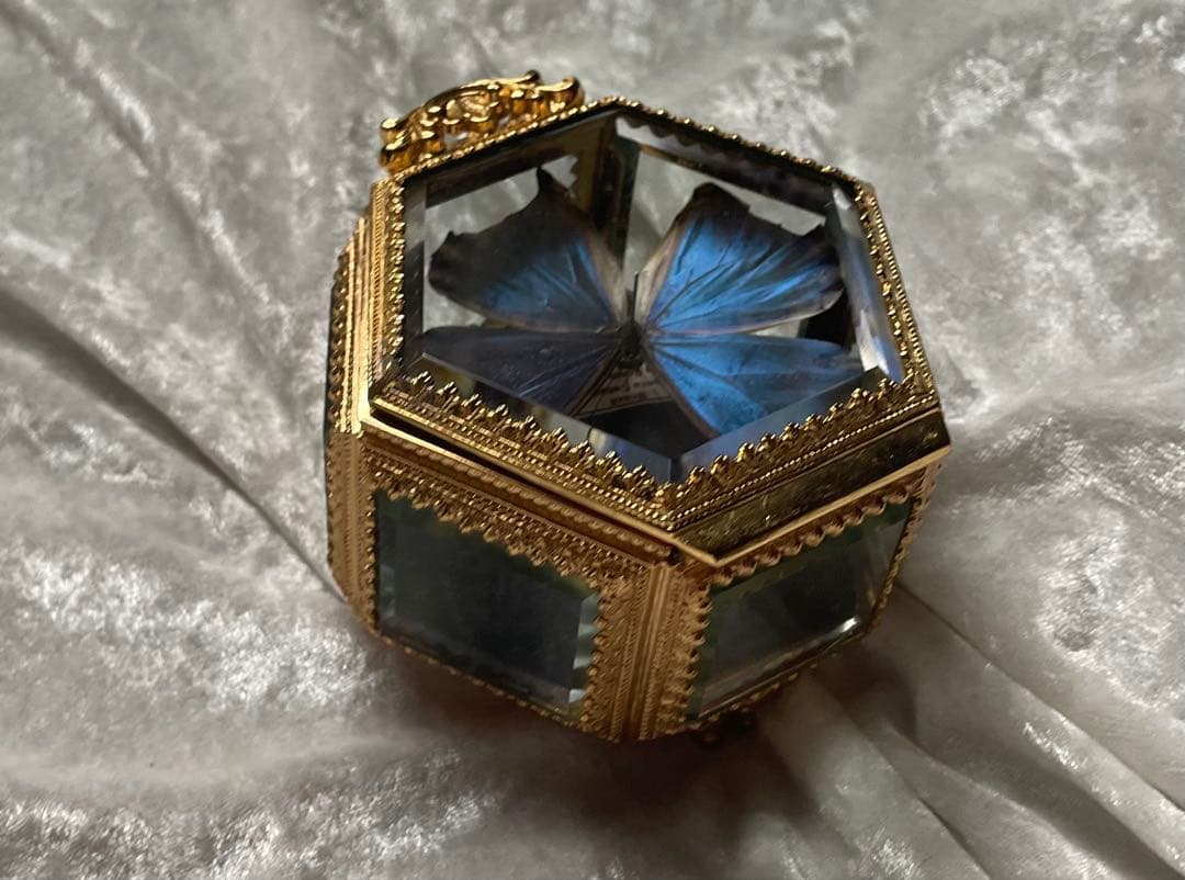 蝶 蛾 標本 ポルティスモルフォ アンティーク ヴィンテージ ジュエリーボックス