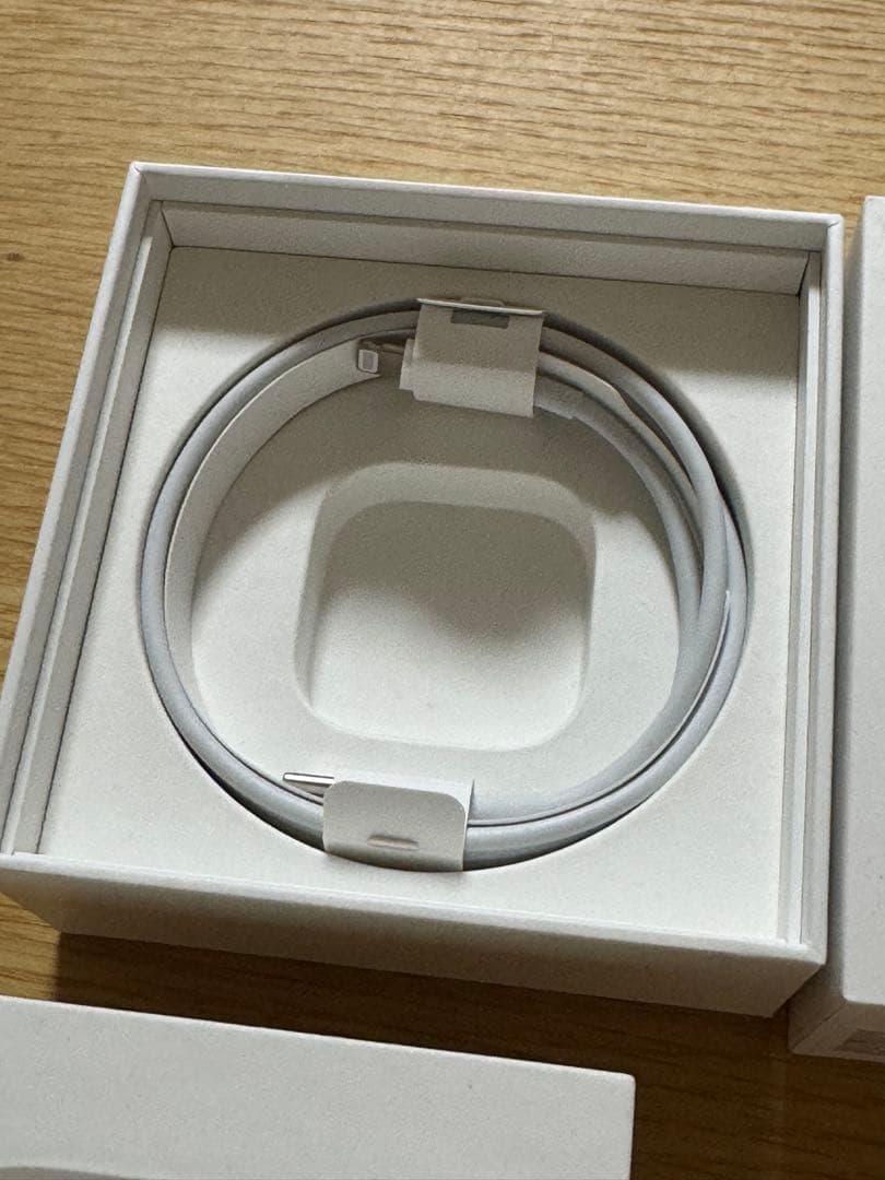 【Apple純正品/付属品完備】AirPods Pro (第1世代)