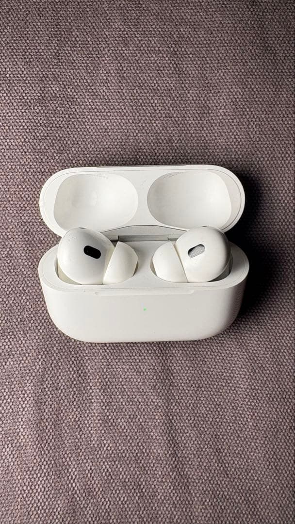 【早い者勝】Apple AirPods Pro 2（第2世代）Lightning