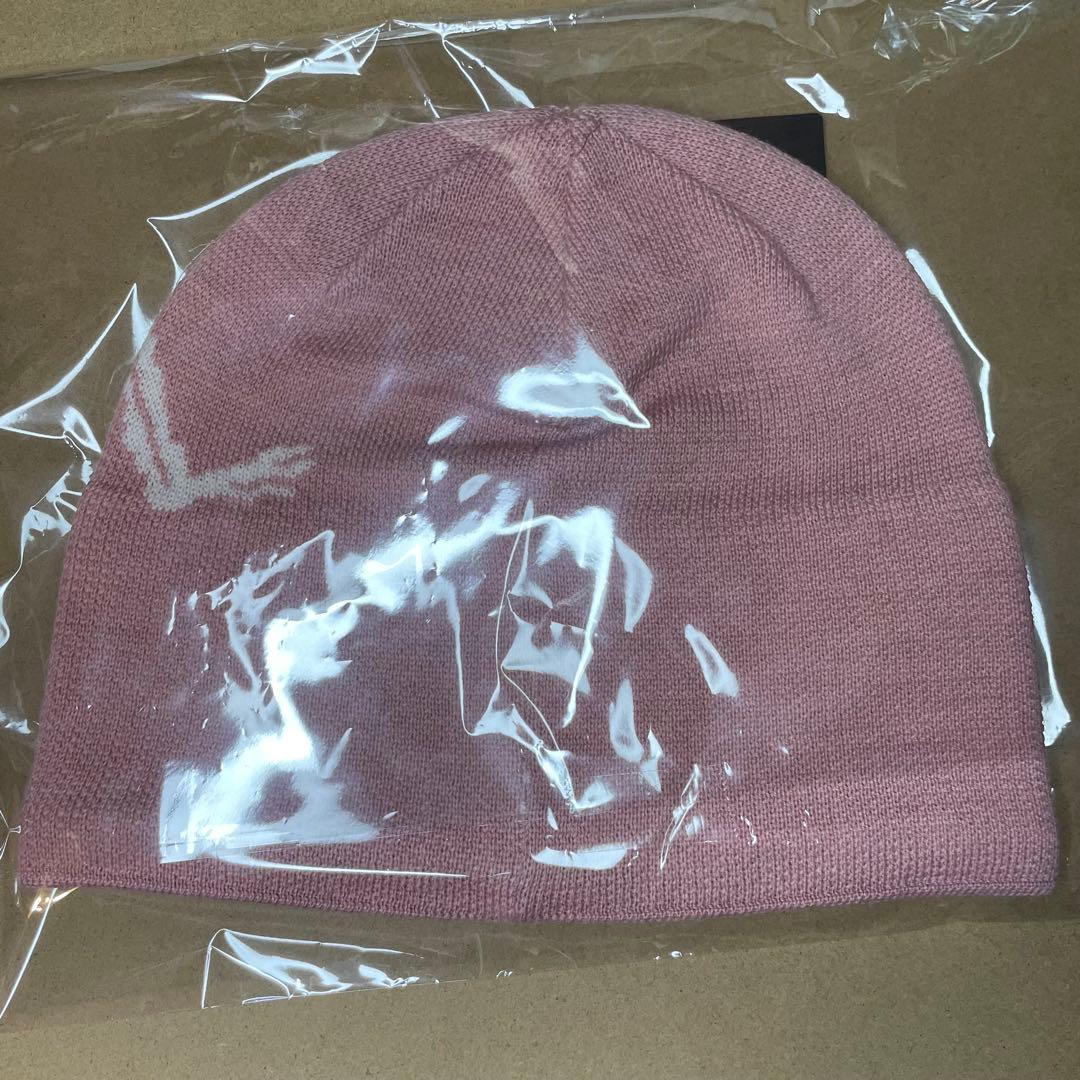 Arcteryx アークテリクス バード ヘッド トーク ビーニー ピンク