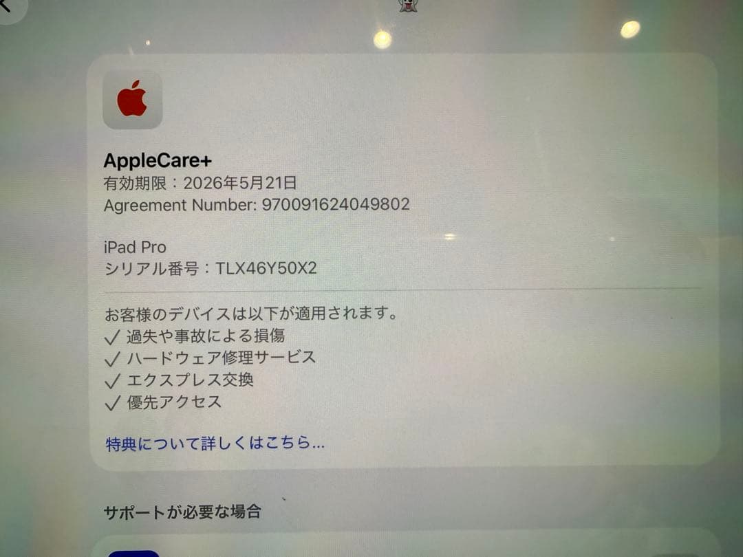 11インチApple iPad Pro M4スペースブラック本体(価格交渉OK)