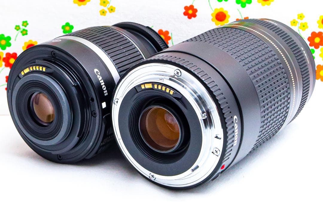 キャノン Canon EOS 7D Mark II☆スマホ転送☆ダブルレンズ