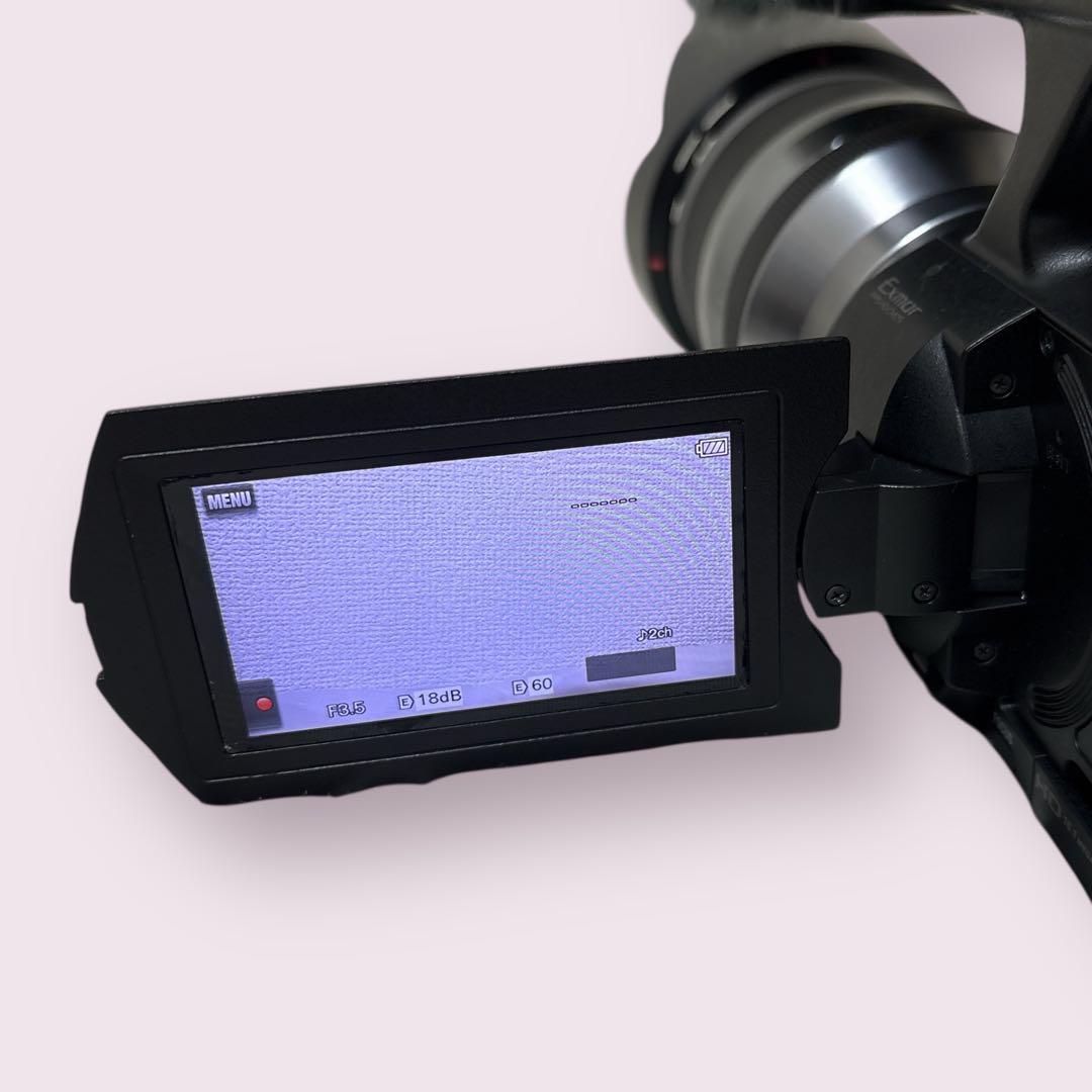 【美品/希少】SONY NEX-VG20H レンズキット 新品予備バッテリー付