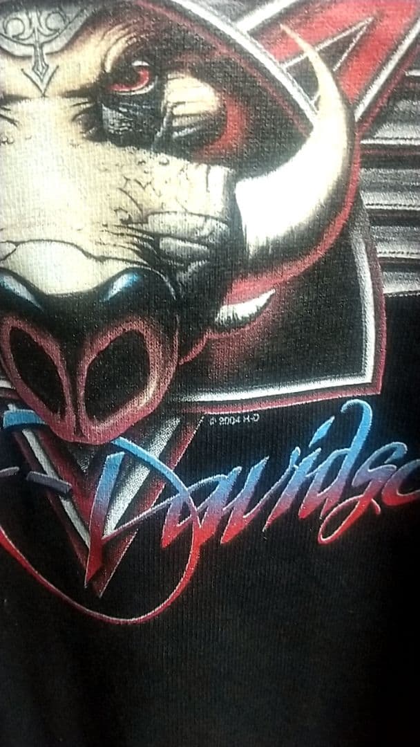 00s HARLEY DAVIDSON サンダー ライトニング　ユーロ古着