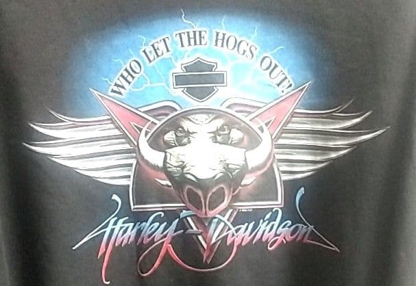 00s HARLEY DAVIDSON サンダー ライトニング　ユーロ古着