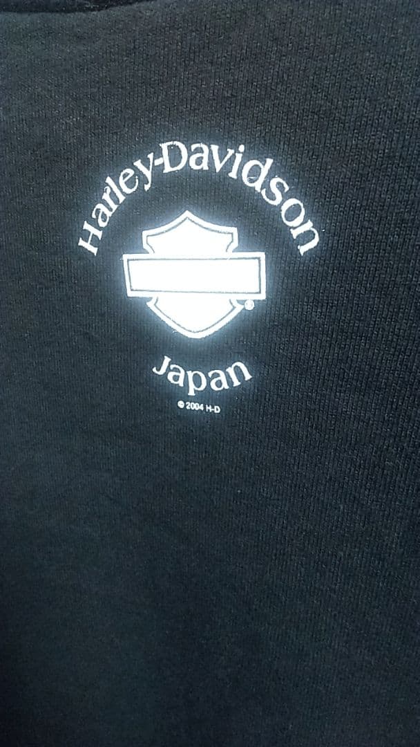 00s HARLEY DAVIDSON サンダー ライトニング　ユーロ古着