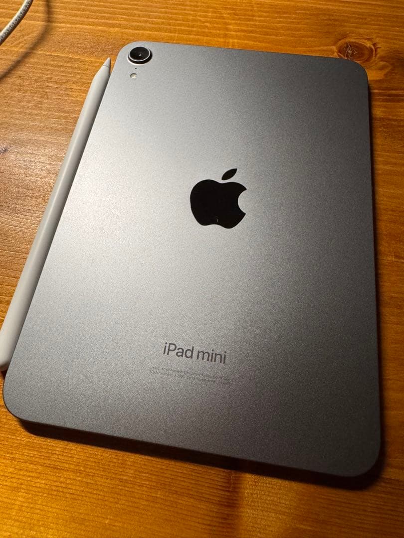 iPad mini(第7世代) 256GBWi﻿-﻿Fi pencil pro付