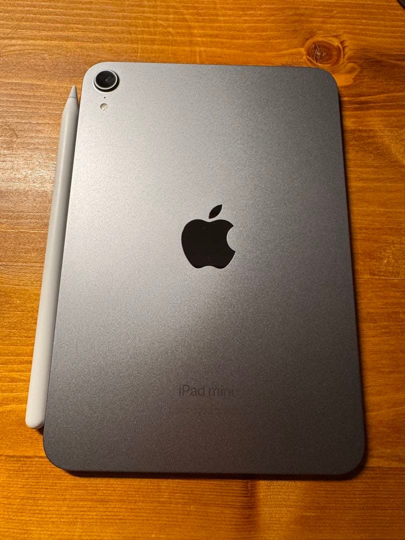 iPad mini(第7世代) 256GBWi﻿-﻿Fi pencil pro付