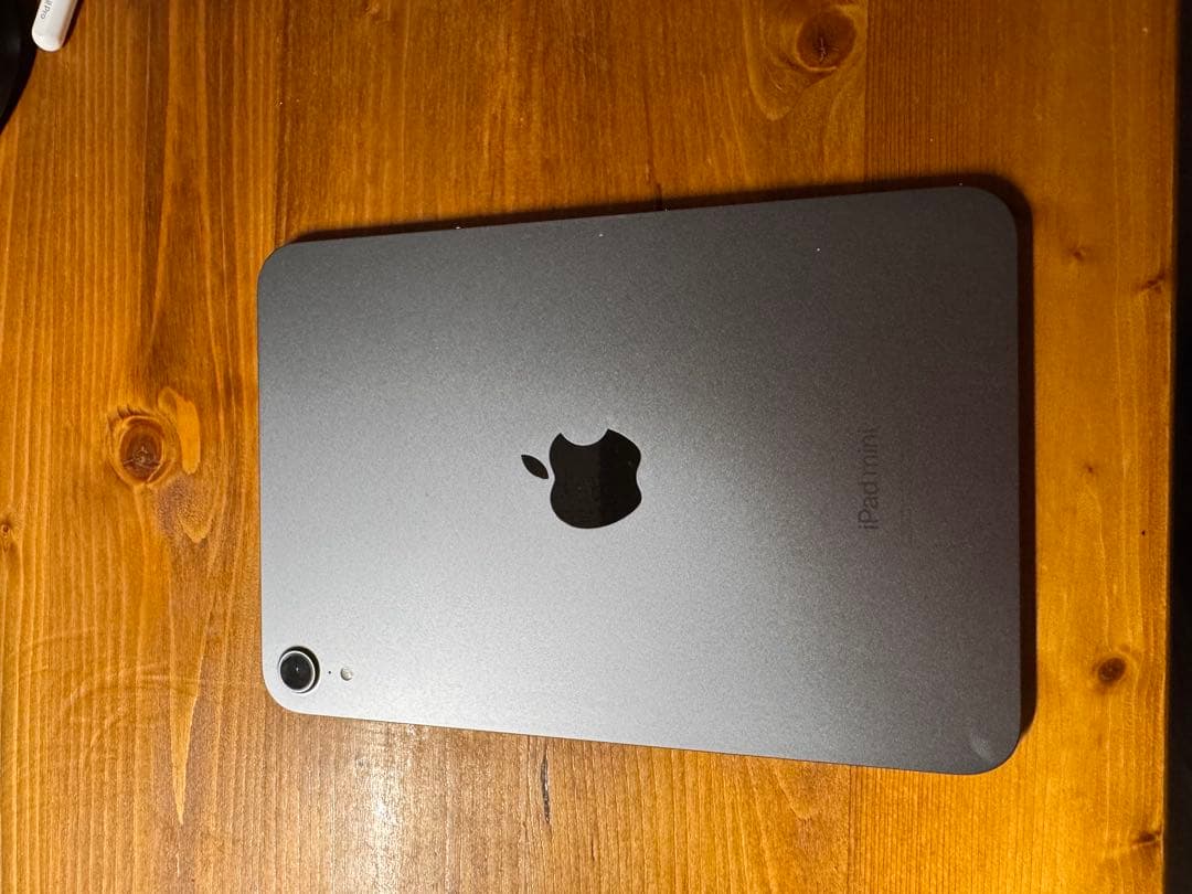 iPad mini(第7世代) 256GBWi﻿-﻿Fi pencil pro付