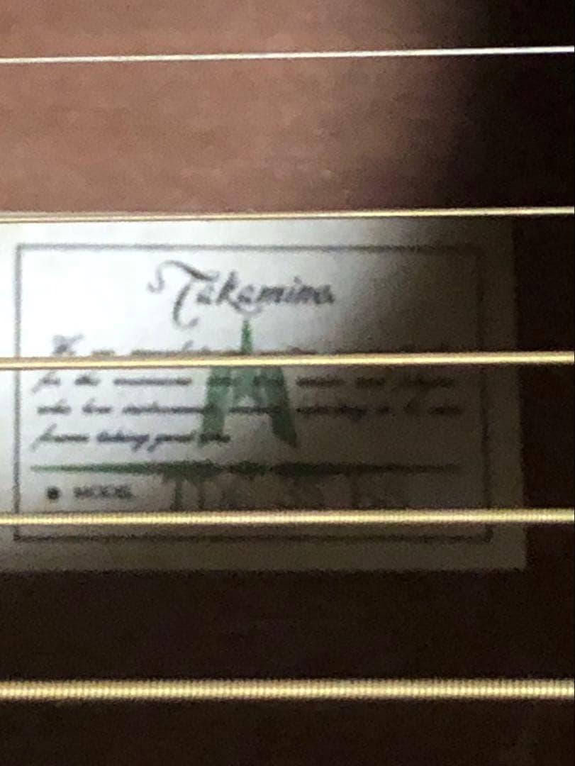 最終値下げ　 Takamine & Co. アコースティックギター