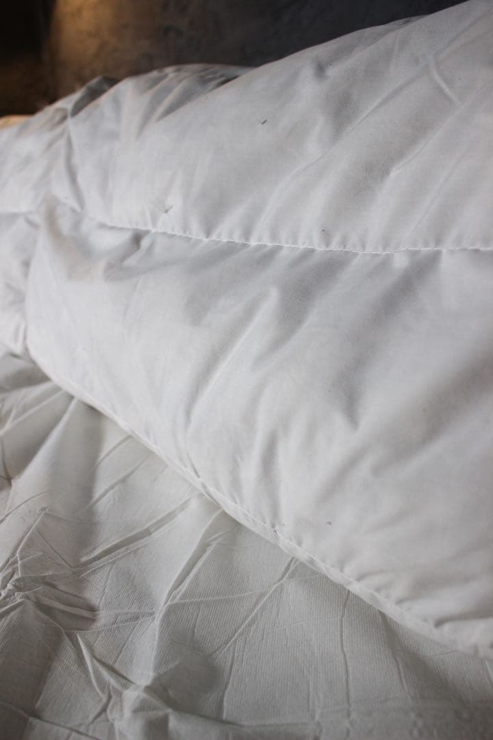 首都圏送無料〜SIEVE バージュ　極上コンディション　2人掛け　ソファ　15万