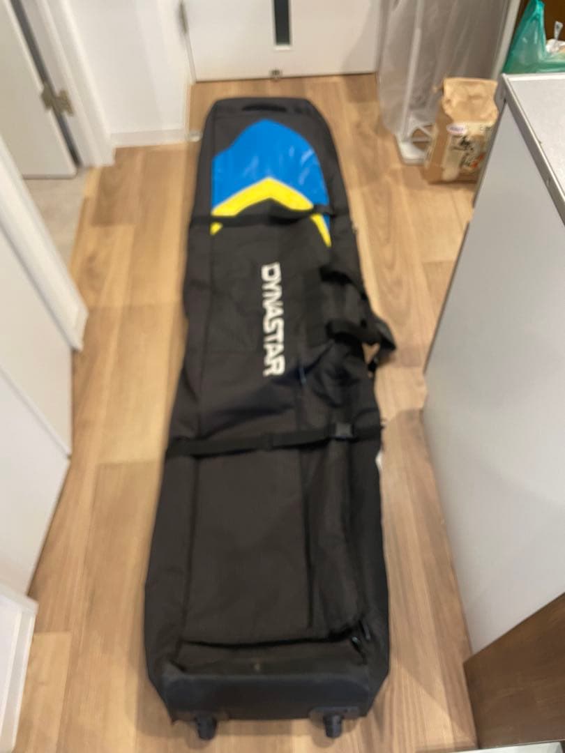 DYNASTAR スキーバッグ