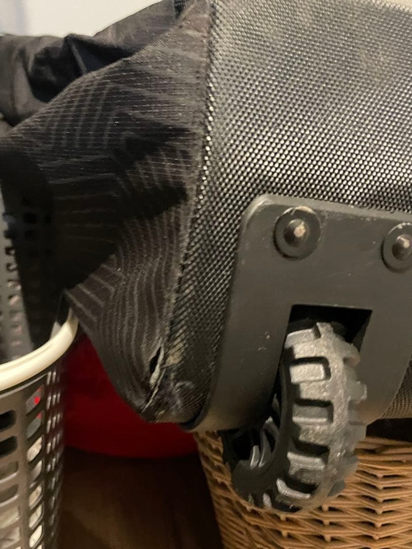 DYNASTAR スキーバッグ