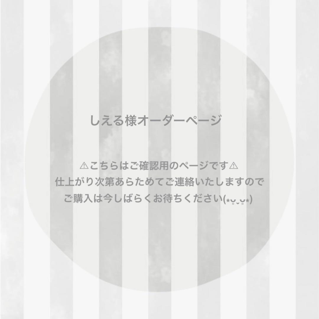 しえる様オーダーページ ෆ̈ ぬい服 いつぬい
