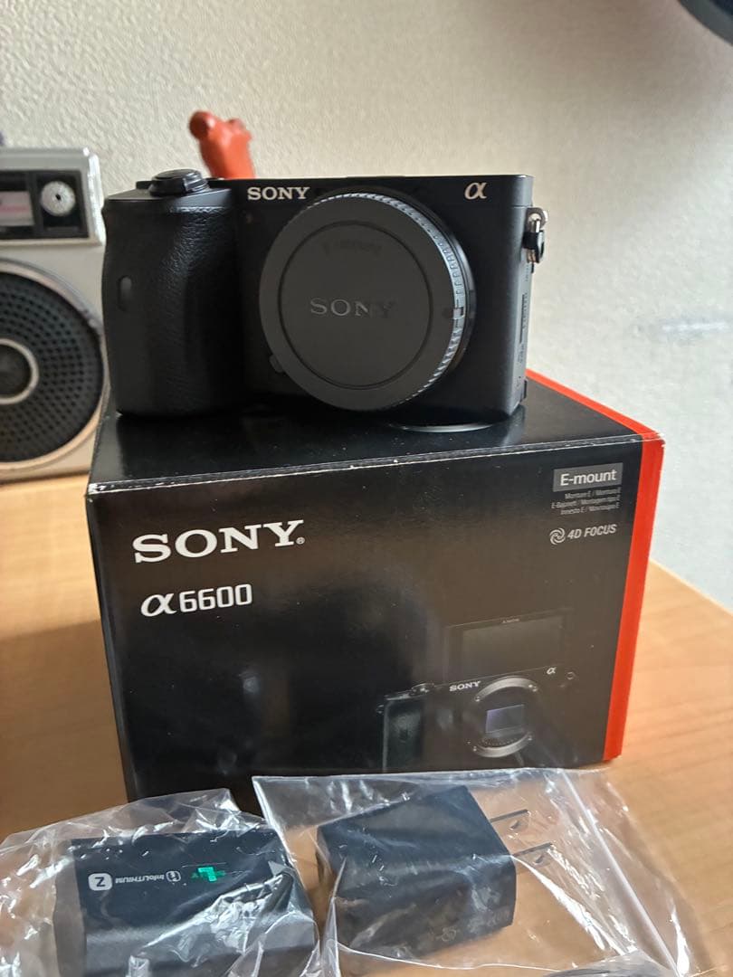Sony α6600 ミラーレス一眼 + Sigma 18-50mm F2.8