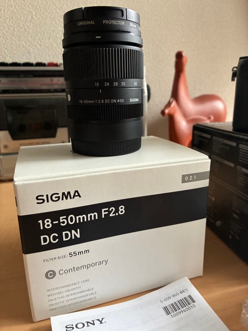 Sony α6600 ミラーレス一眼 + Sigma 18-50mm F2.8