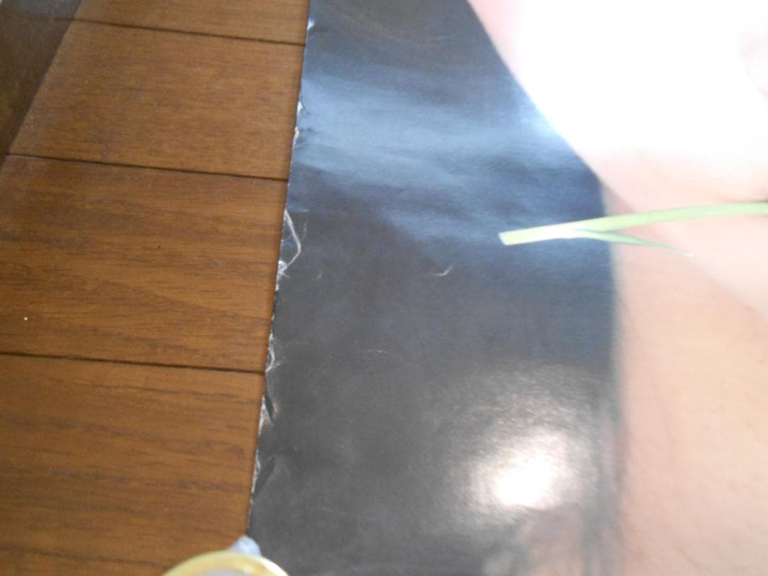 フジカラー写真額「ユルブリンナーさんパネル」＆岡田奈々さんポスター他　昭和