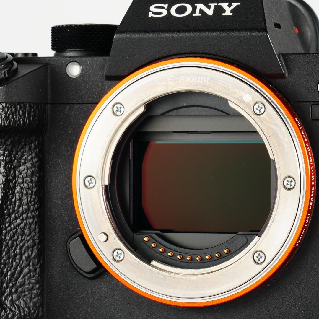 SONY α7RIII 4240万画素 レンズセット 他と差をつける初めの1台