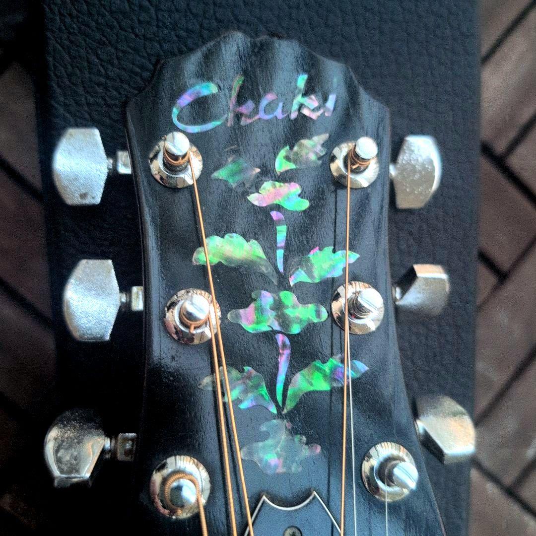 Chaki Wー3F 色々難ありのドレッドノートです。