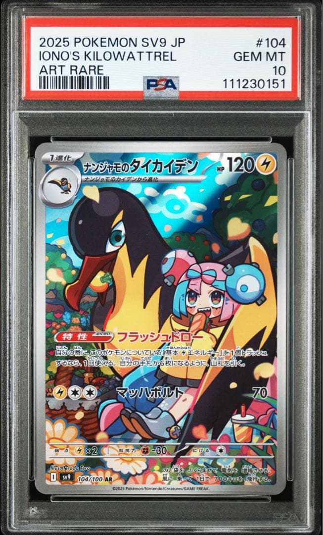 ナンジャモノのカイデン　ナンジャモノのタイカイデンPSA10 連番