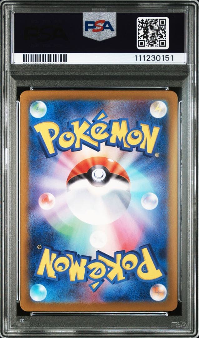 ナンジャモノのカイデン　ナンジャモノのタイカイデンPSA10 連番