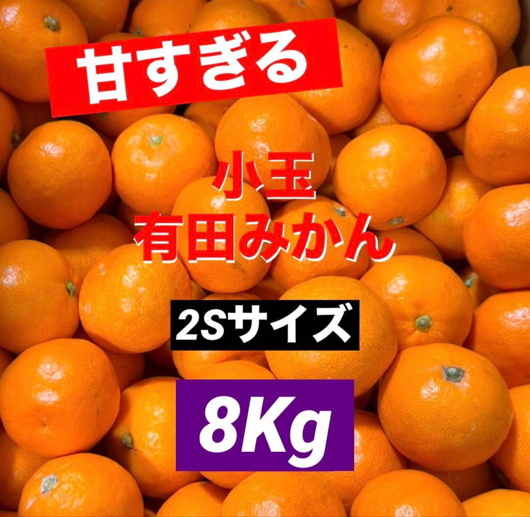 228)数量限定　甘すぎる　有田みかん　果物 　みかん　小玉　旬