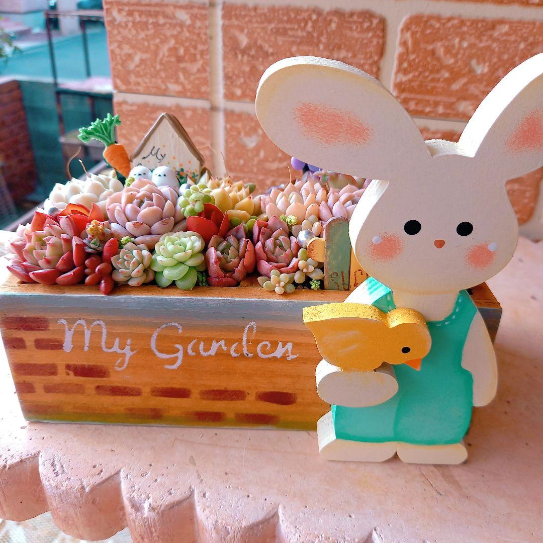 ❤️専用❤️多肉植物❤️そのまま飾れる寄せ植え❤️