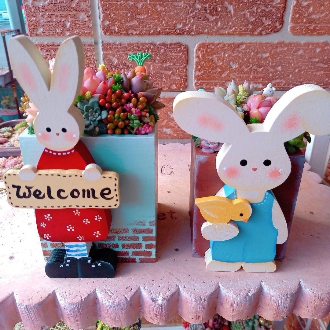 ❤️専用❤️多肉植物❤️そのまま飾れる寄せ植え❤️