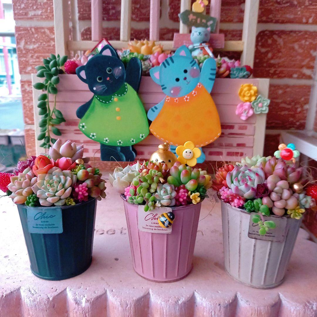 ❤️専用❤️多肉植物❤️そのまま飾れる寄せ植え❤️