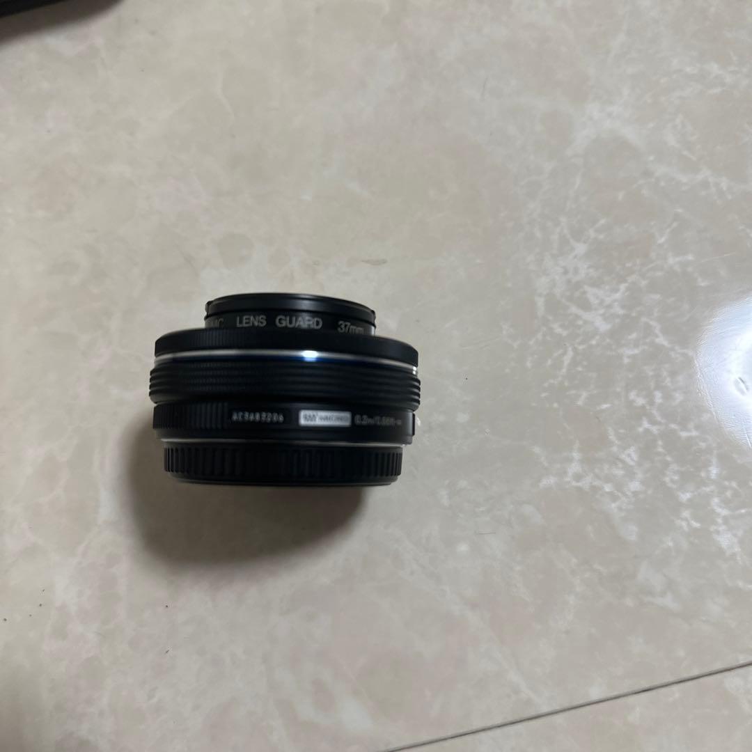 オリンパス　カメラ　E-M10II