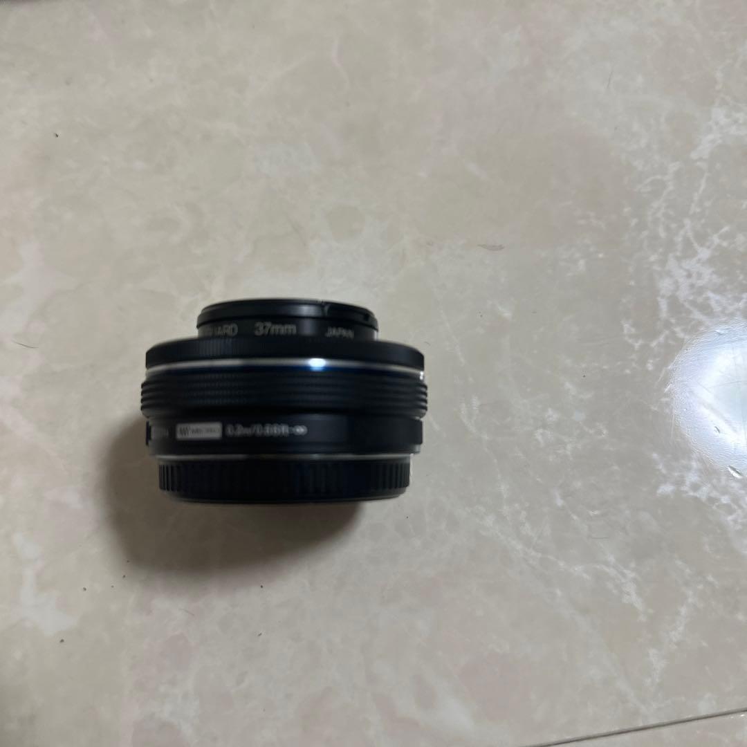 オリンパス　カメラ　E-M10II