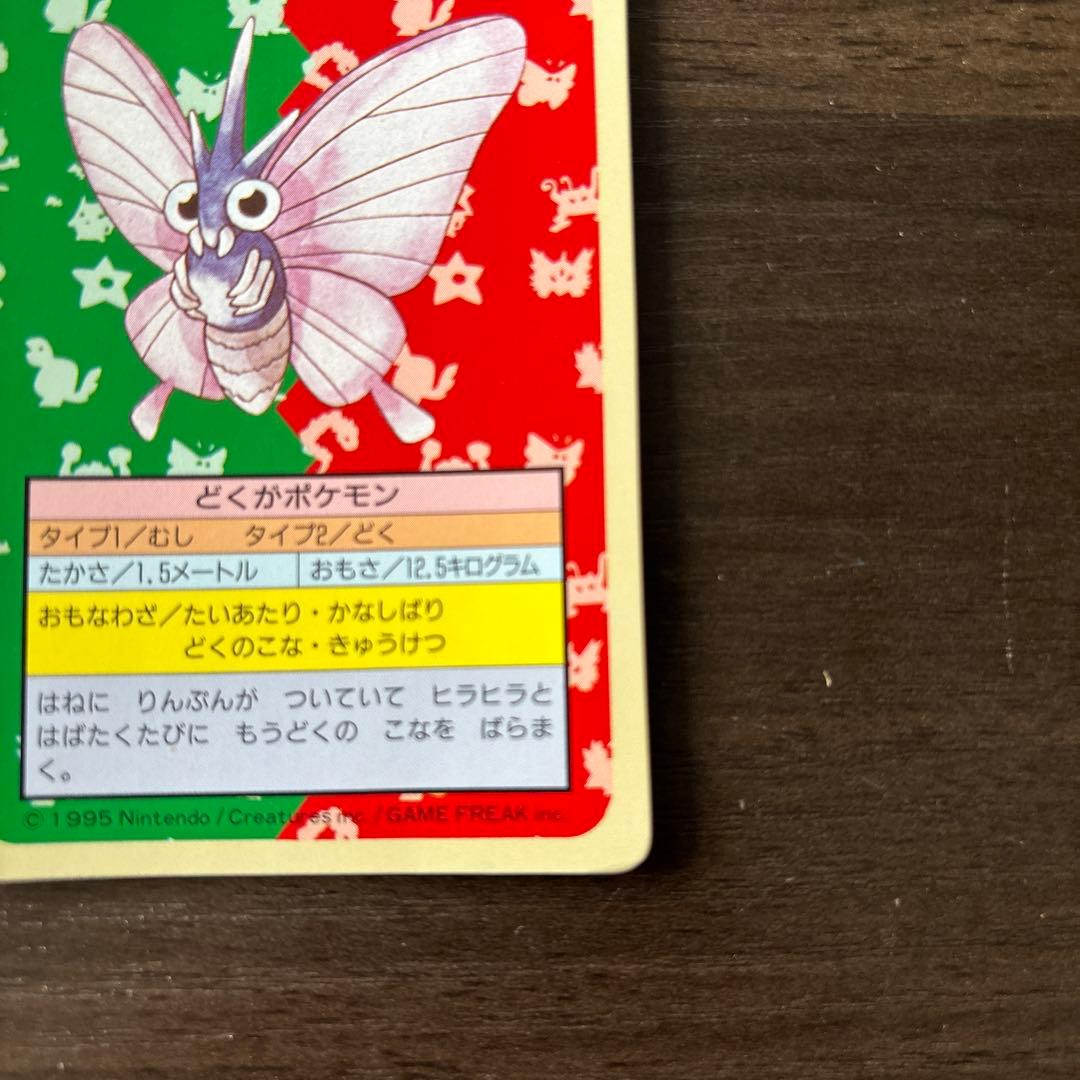 トップサン ポケモンカード モルフォン 裏緑