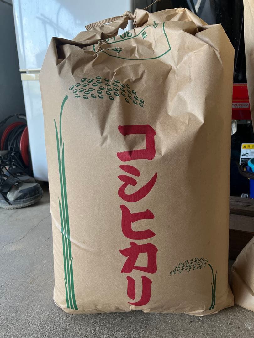 令和7年産 コシヒカリ30kg 玄米①