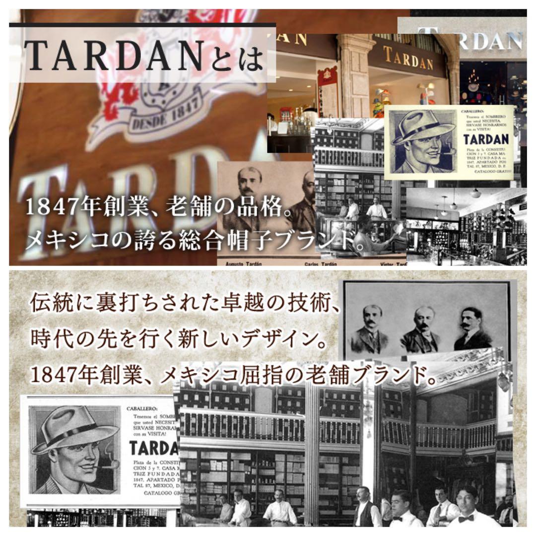 【極美品】 TARDAN ウールハット ボーターハット