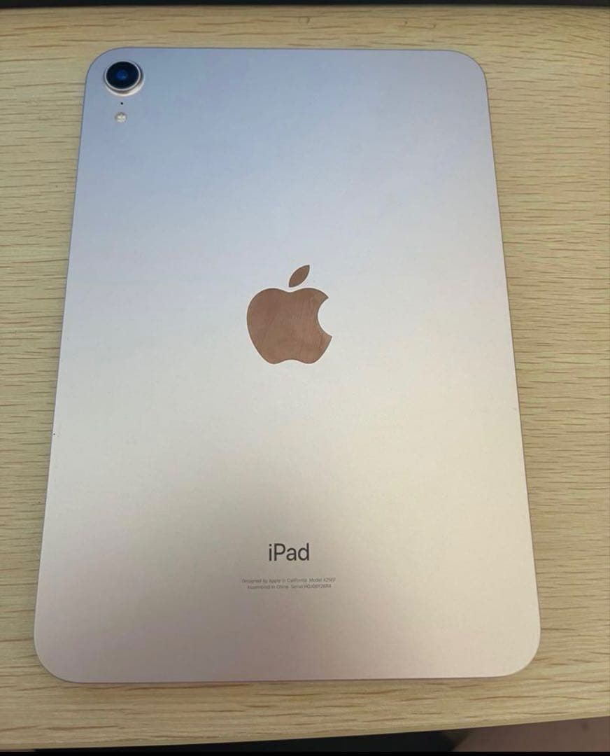 iPad本体 Ipad MiNi 6. 256GB