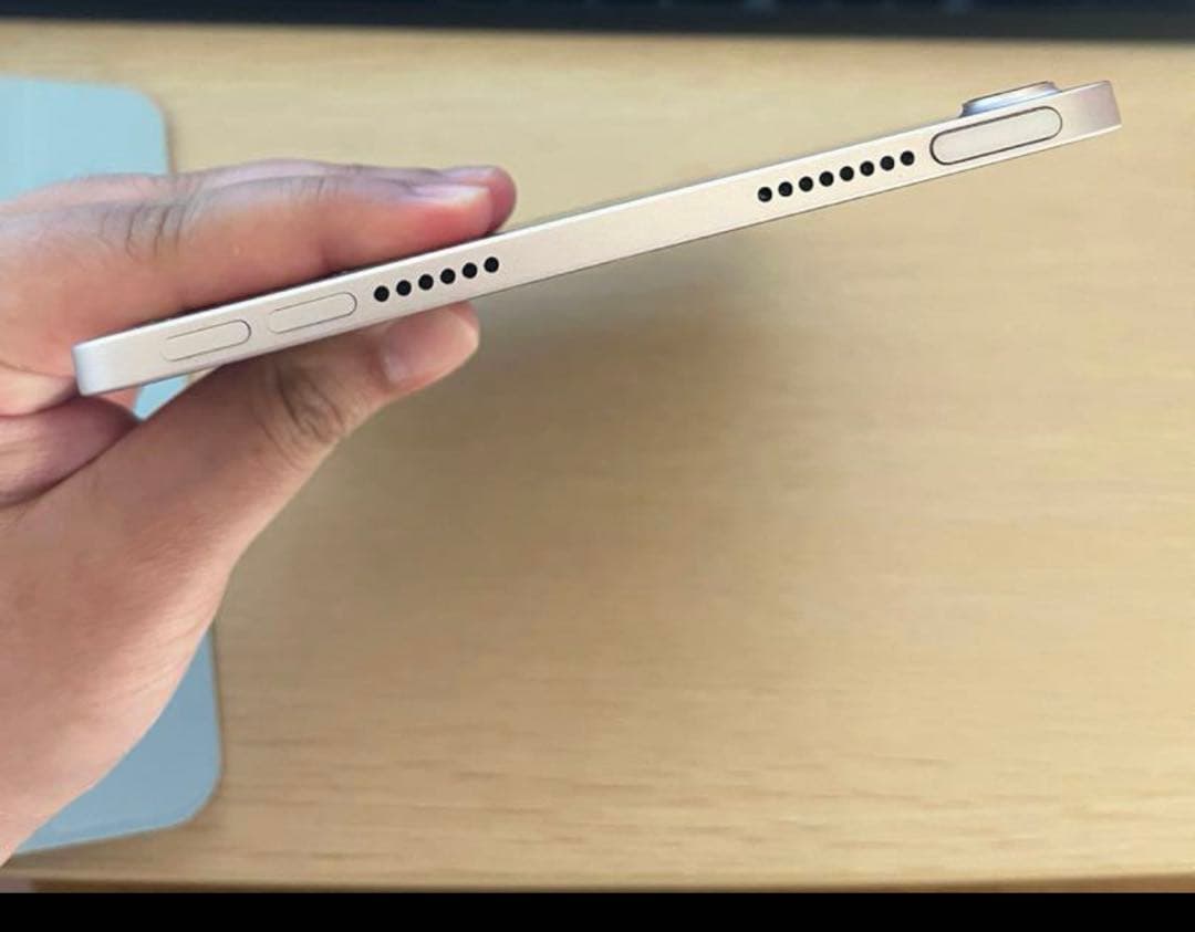 iPad本体 Ipad MiNi 6. 256GB