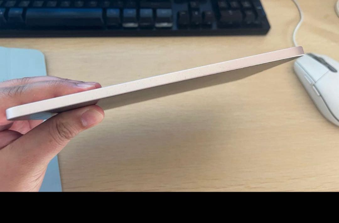 iPad本体 Ipad MiNi 6. 256GB