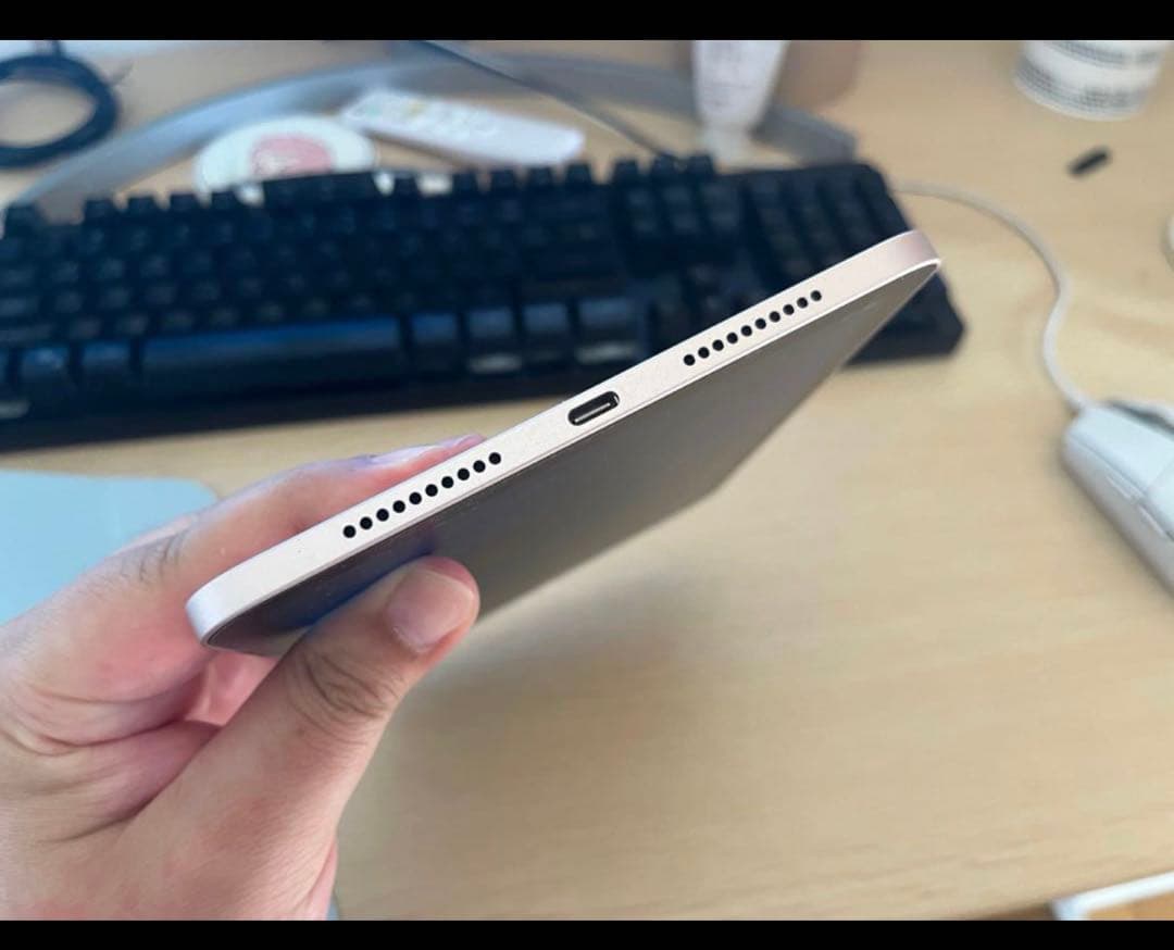 iPad本体 Ipad MiNi 6. 256GB