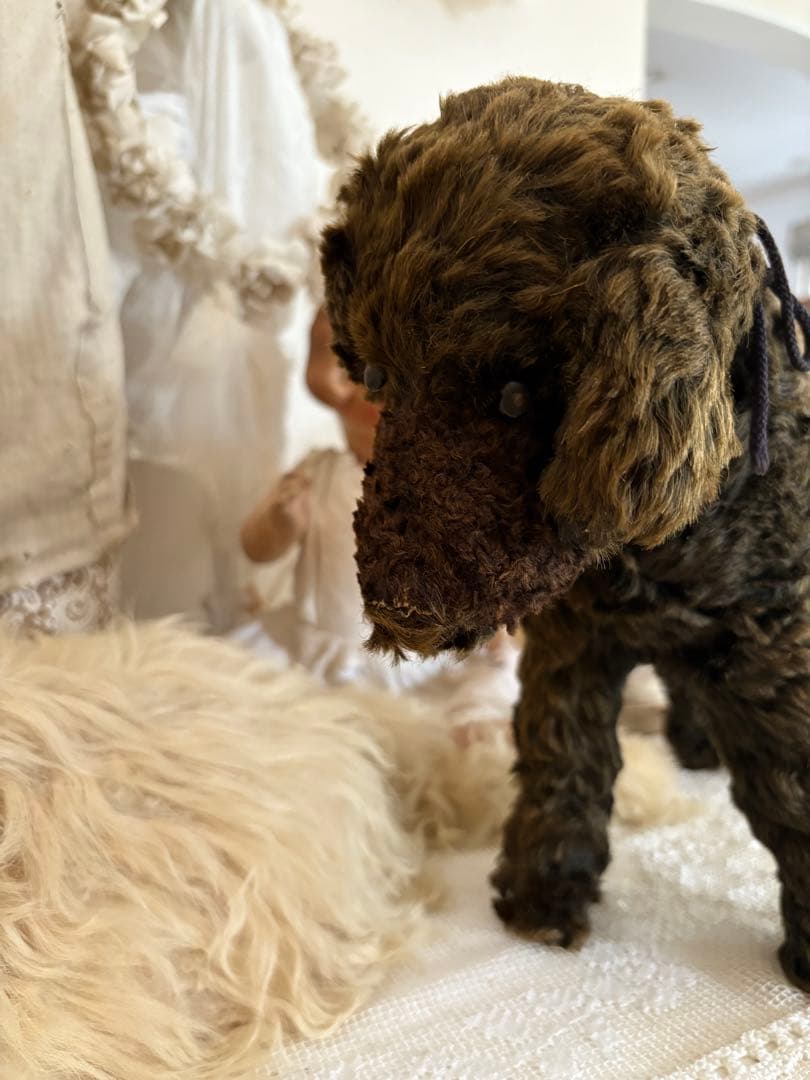 アンティーク 犬 アンティークテディベア アンティークベア フランスアンティーク