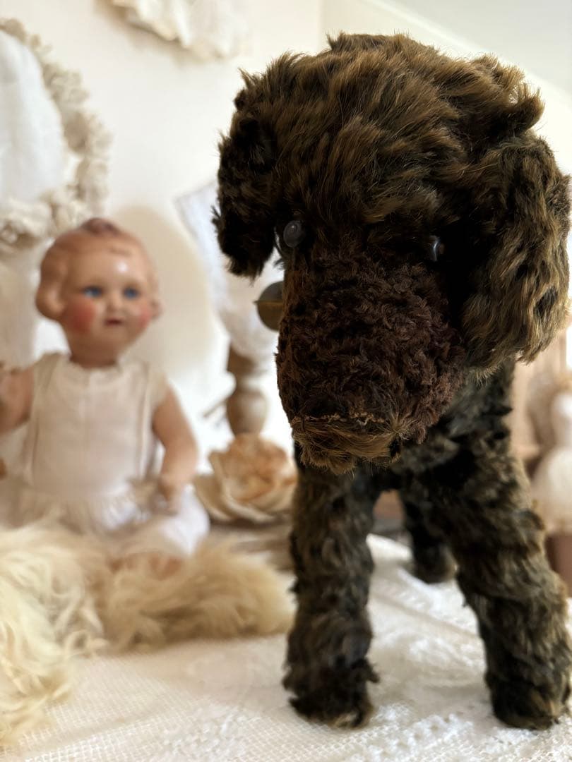 アンティーク 犬 アンティークテディベア アンティークベア フランスアンティーク