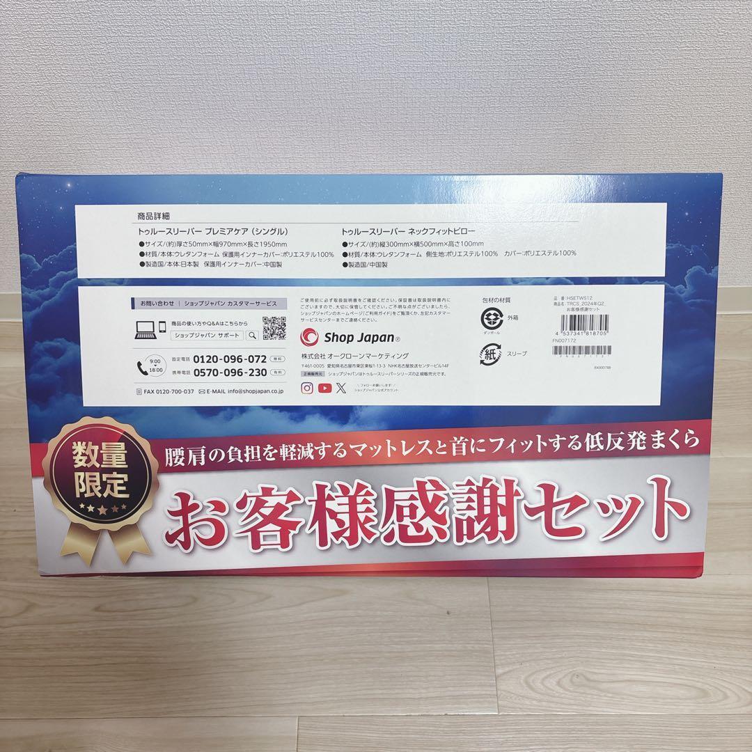 お値下げ不可！トゥルースリーパー 低反発マットレス ネックフィットピローセット