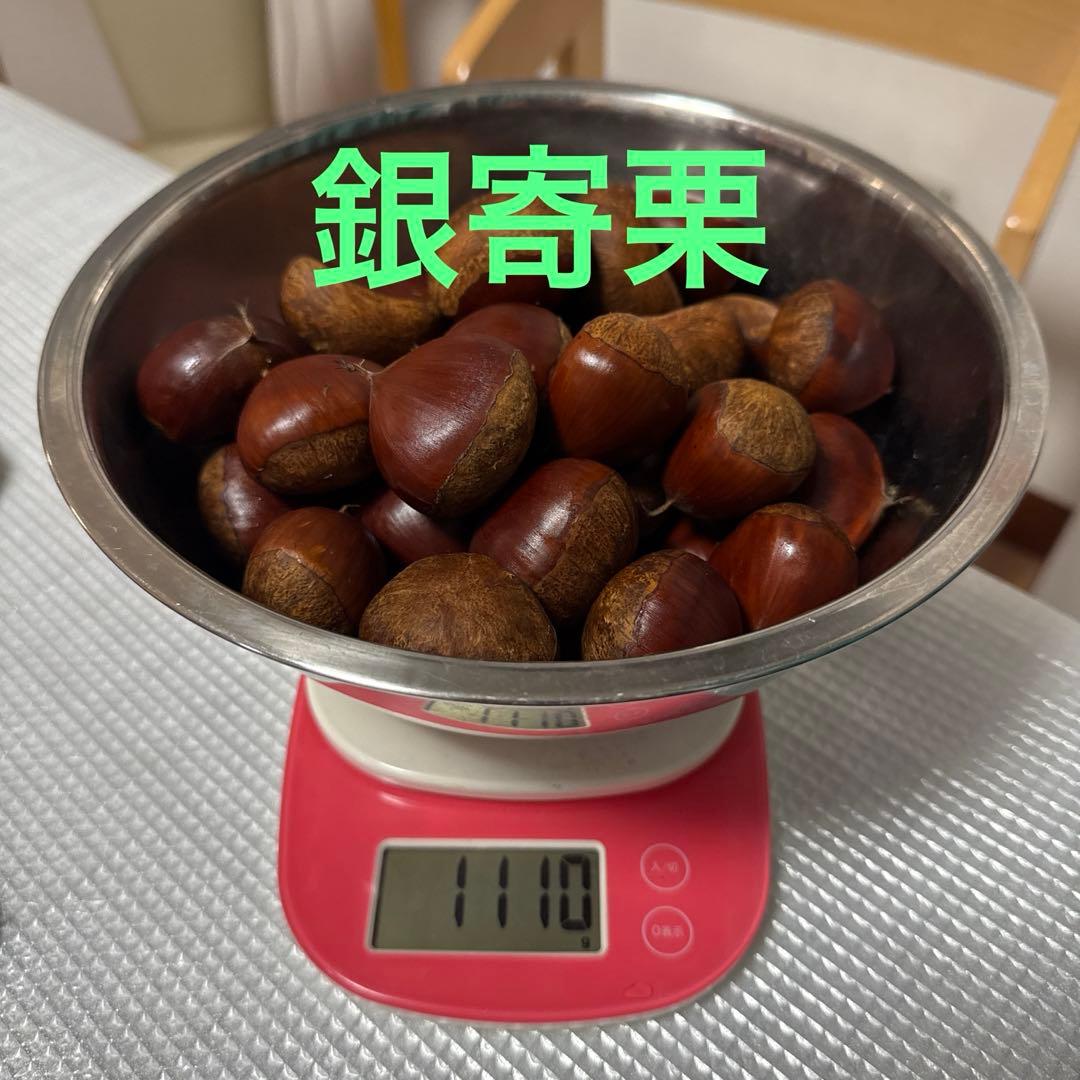 さふぃあ　11/10以降出品