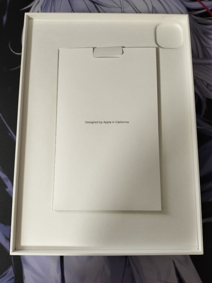 Apple iPad pro 11インチ 第2世代 スペースグレー 256GB