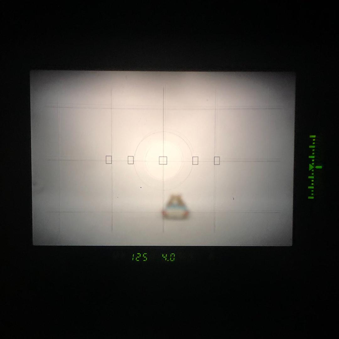 【C7192】キヤノン EOS-1N+キヤノン LENS EF 28-105mm