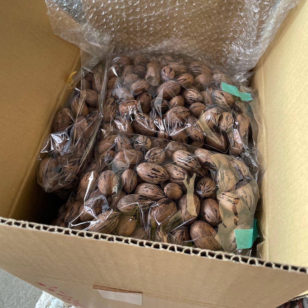 のりのり　ピーカンナッツ