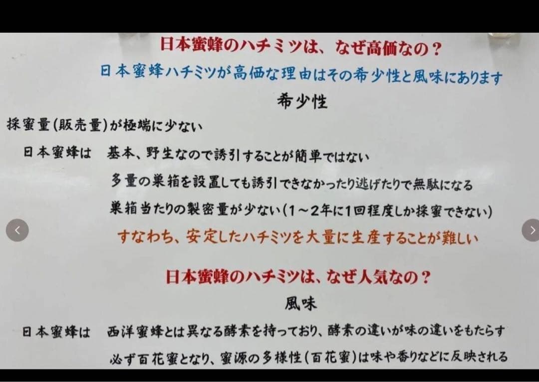 日本ミツバチ純粋垂れ蜜　無添加　非加熱　440g 3個