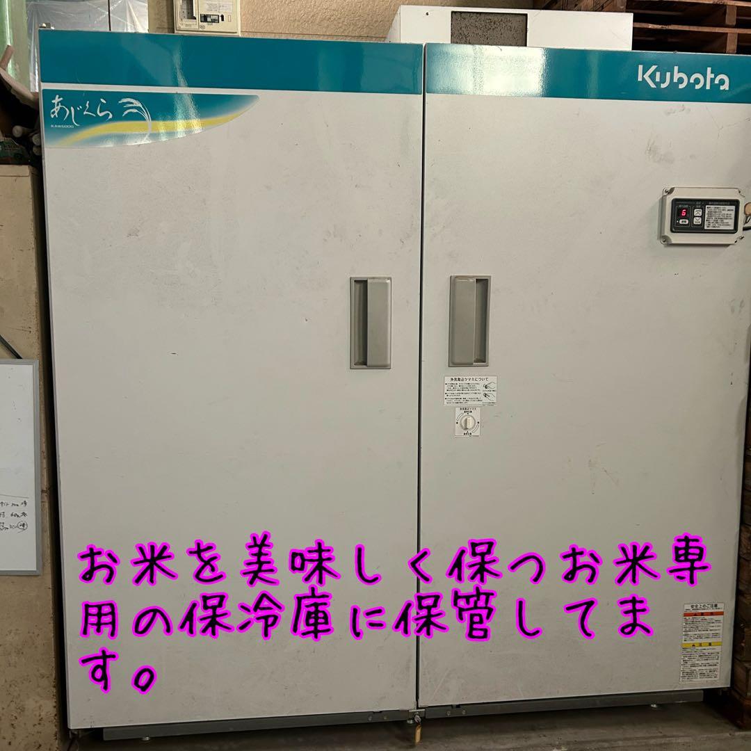 白米　森のくまさん10キロ