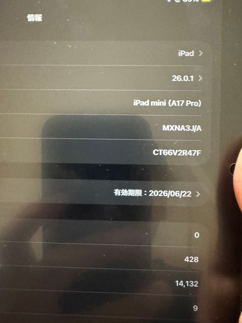 Apple iPad mini (A17 Pro) 本体