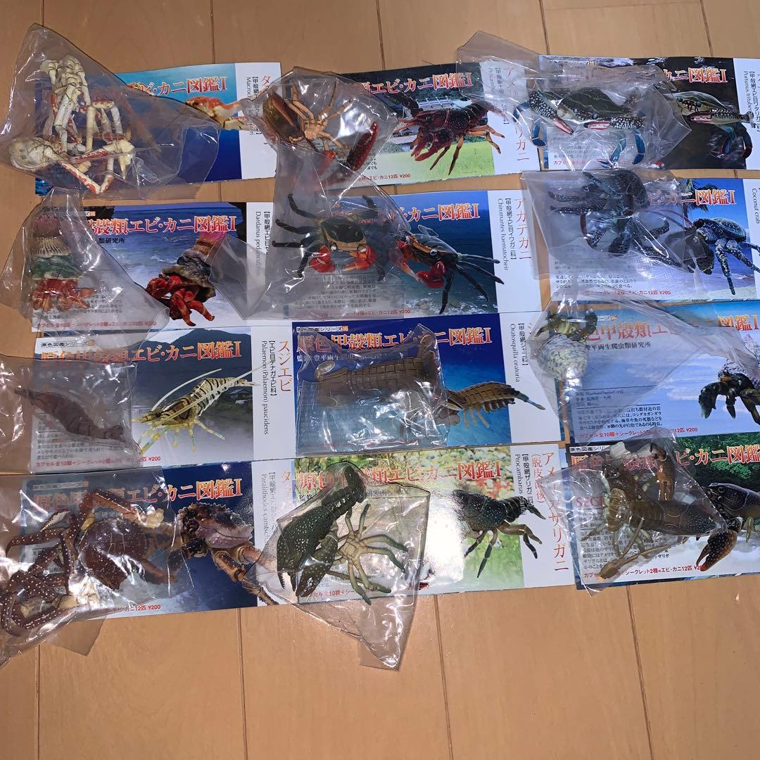 原色甲殻類エビ・カニ図鑑I　コンプリート